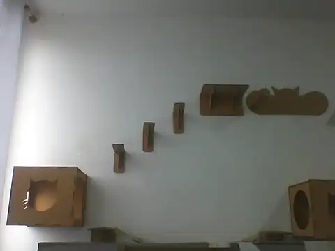 Temp7 online show from February 2026 06:08:02 PM