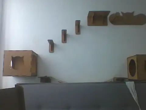 Temp7 online show from February 2026 01:13:02 PM