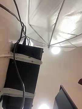 Aria Kitty online show from November 2025 11:44:02 AM