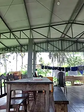 nori dunda online show from February 2026 05:33:01 PM