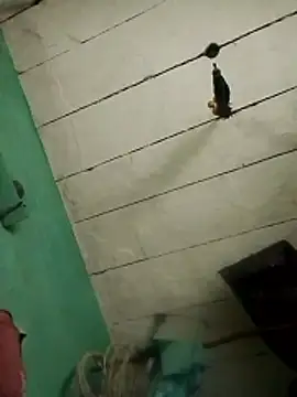 Xxx suhana online show from February 2026 11:07:01 AM