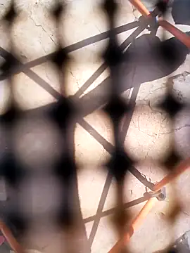 Eezxxx online show from December 2025 07:30:02 AM