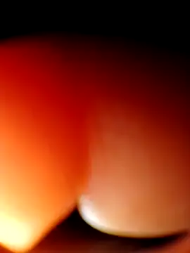 Eezxxx online show from March 2026 04:01:01 AM