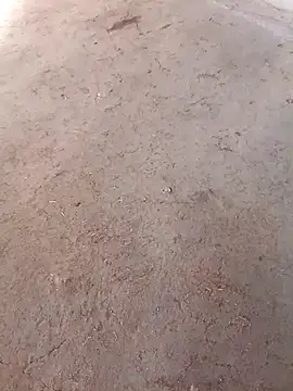 Snapshot of Nandani-758 chatting on December 2025 10:06:01 AM Nandani-758 online show from December 2025 10:06:01 AM