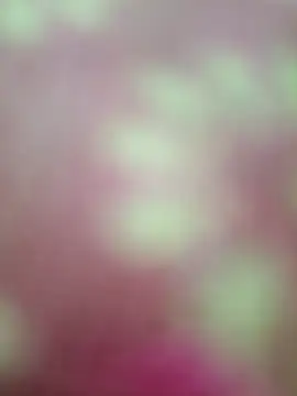 Snapshot of Nandani-758 chatting on February 2026 09:00:02 AM Nandani-758 online show from February 2026 09:00:02 AM