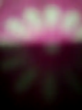 Nandani-758 online show from December 2025 12:14:01 AM