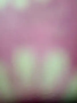 Snapshot of Nandani-758 chatting on January 2026 04:10:01 PM Nandani-758 online show from January 2026 04:10:01 PM