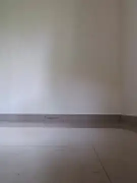 Meow buggie online show from December 2025 10:19:02 AM