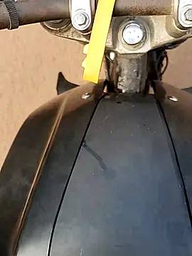 Meow buggie online show from December 2025 02:55:02 AM