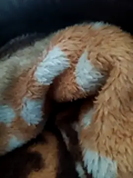 Hotboylumia 825321 online show from December 2025 01:14:02 PM