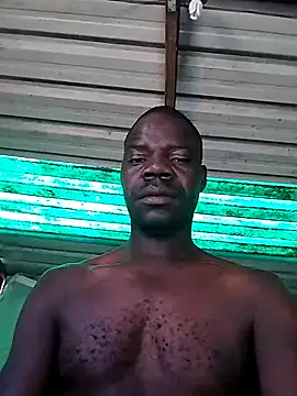 pdck2025 online show from November 2025 06:56:02 AM