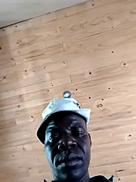 pdck2025 online show from November 2025 10:59:01 AM