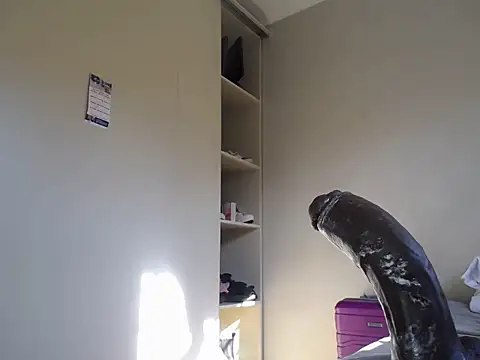 KinkyJXxX online show from April 2026 01:29:01 PM