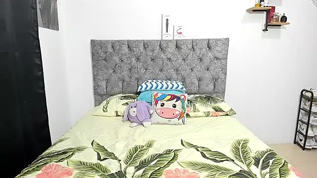 Iam dani online show from December 2025 09:17:01 PM