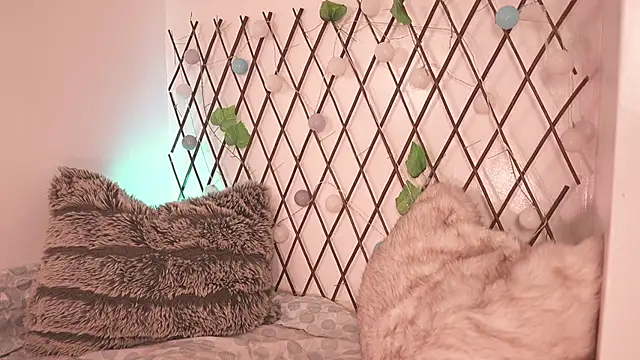 Mackenzie Lia online show from November 2025 07:25:02 PM