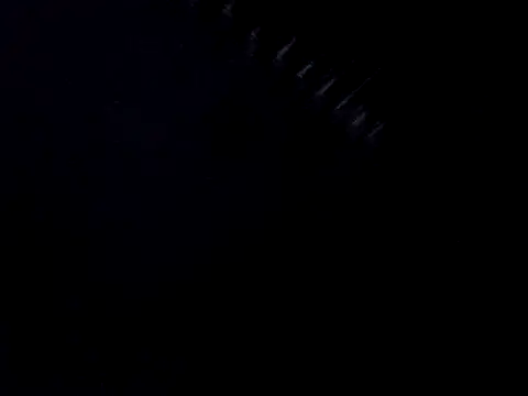 JohnyRaw online show from April 2026 06:53:02 AM