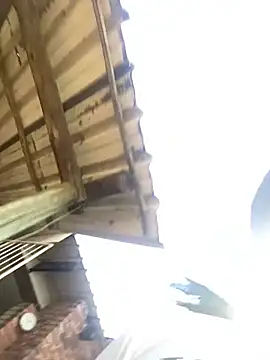 VirginPrincess06 online show from March 2026 01:01:01 PM