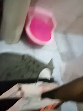 Rico123san online show from January 2026 08:07:01 AM