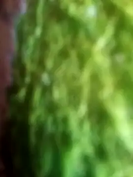 Rico123san online show from March 2026 08:52:02 PM