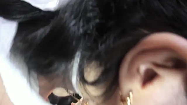 Haylenpark online show from February 2026 11:56:01 AM