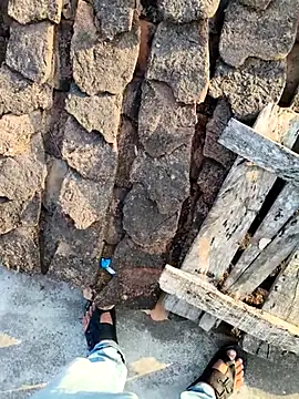 apka rockstarr online show from December 2025 02:49:01 AM