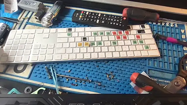 SinlessFreedom7 online show from January 2026 07:34:01 PM