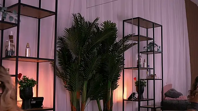 AishleyBee online show from November 2025 12:38:02 PM