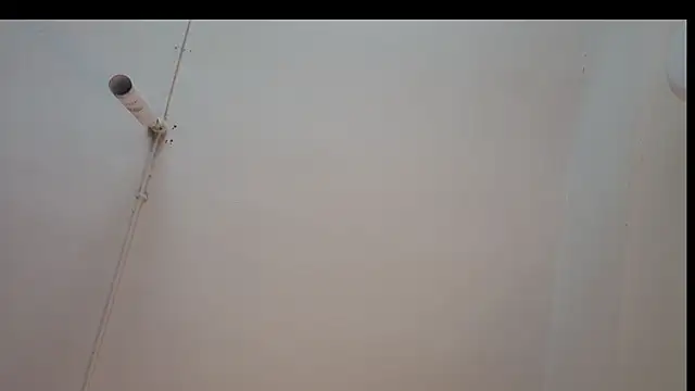 Snapshot of ShyColette chatting on November 2025 03:27:02 AM ShyColette online show from November 2025 03:27:02 AM