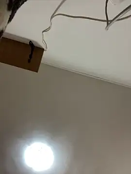 CrazyJessika online show from March 2026 02:01:02 PM