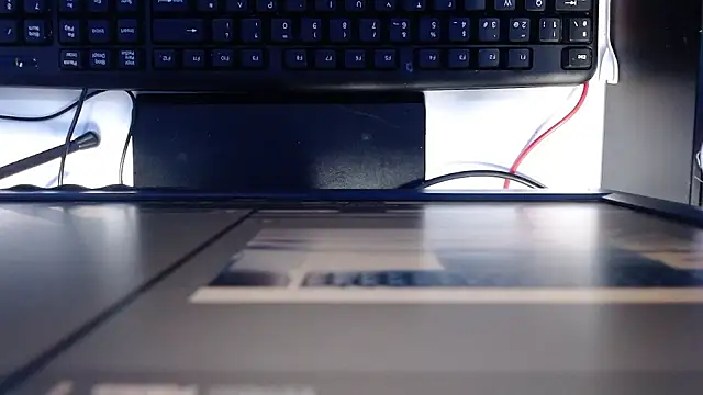 madisson 768 online show from February 2026 01:23:01 PM