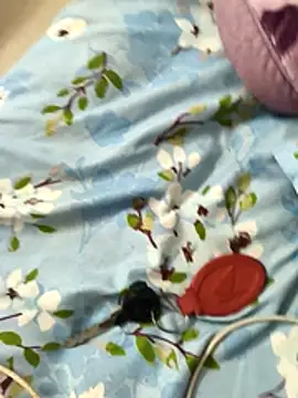 paro22 sex online show from December 2025 04:30:01 PM