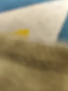 paro22 sex online show from February 2026 05:13:02 PM