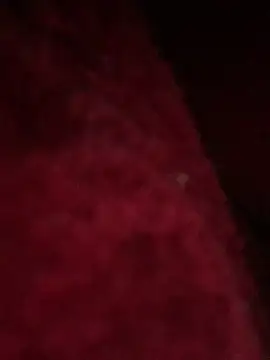 Snapshot of hotel222 chatting on November 2025 01:06:01 AM hotel222 online show from November 2025 01:06:01 AM