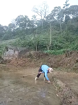 nangmo online show from March 2026 11:50:01 PM