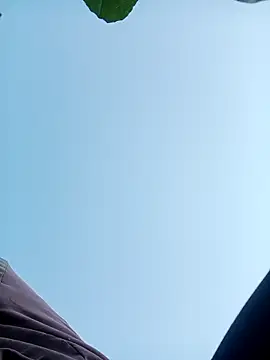 nangmo online show from November 2025 12:11:02 AM