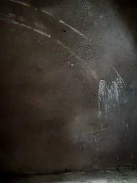 nangmo online show from January 2026 03:10:02 AM