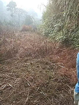 nangmo online show from March 2026 01:16:02 AM