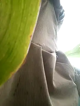 nangmo online show from July 2026 11:46:01 PM