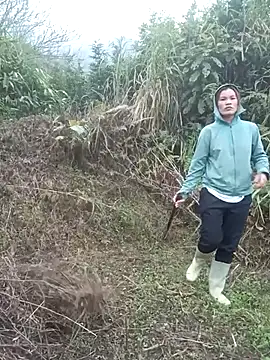 nangmo online show from March 2026 12:07:01 AM