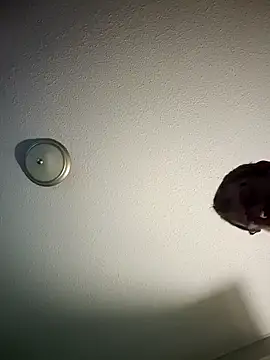 mr girthyandsweetcheeks online show from February 2026 06:35:02 AM