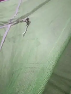 Daily lust online show from February 2026 07:03:02 PM