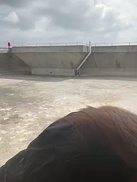 Xiaomili8 online show from December 2025 04:15:01 AM