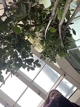 KateBurlesk online show from February 2026 09:07:02 AM