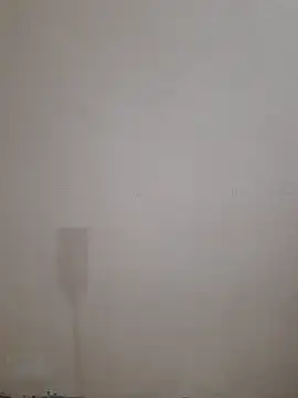 Alli8900 online show from December 2025 09:45:02 AM