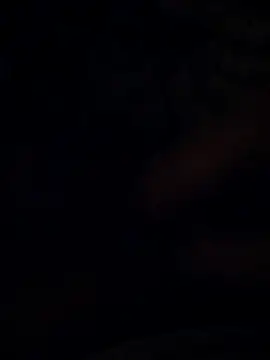 Snapshot of BarrenProtege chatting on November 2025 09:59:02 PM BarrenProtege online show from November 2025 09:59:02 PM