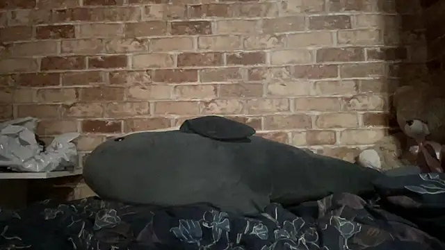 Blair Reid online show from November 2025 04:40:01 PM