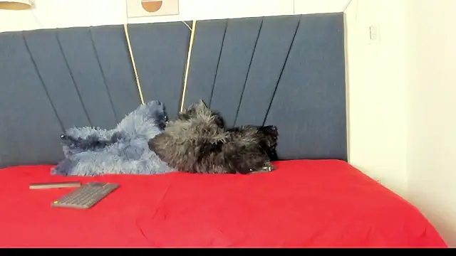 Snapshot of naomi_x0 chatting on January 2026 01:14:01 PM naomi x0 online show from January 2026 01:14:01 PM