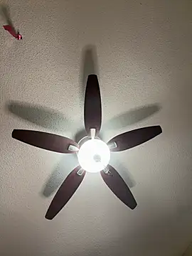 Kiki hammyy online show from February 2026 06:19:02 AM