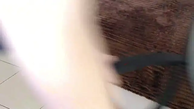 Brandy Gem online show from February 2026 07:49:02 AM