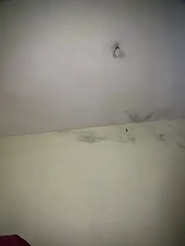 arabayla online show from March 2026 08:49:02 PM